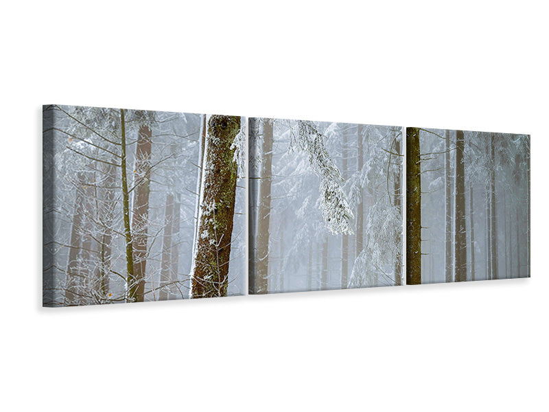 Panorama Leinwandbild 3-teilig Wald im Winter