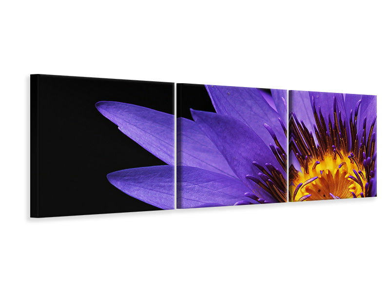 Panorama Leinwandbild 3-teilig XL Seerose in lila