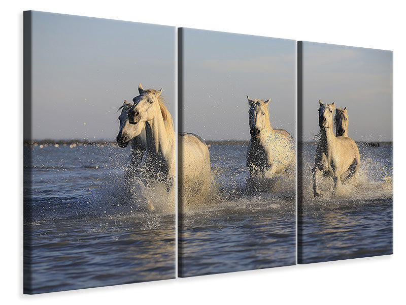 Leinwandbild 3-teilig Pferde im Meer