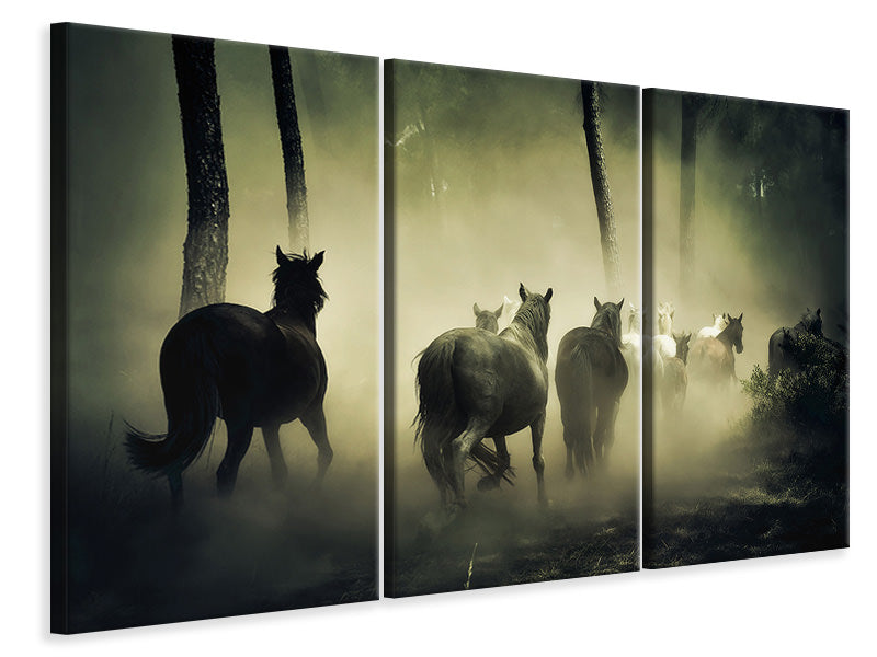 Leinwandbild 3-teilig Pferde im Wald