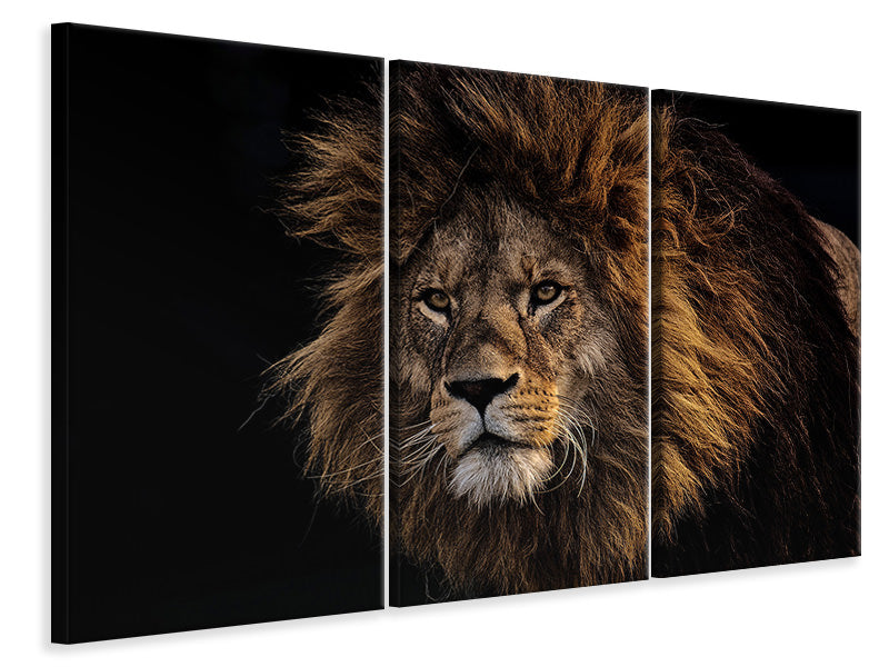 Leinwandbild 3-teilig Portrait eines Löwen 