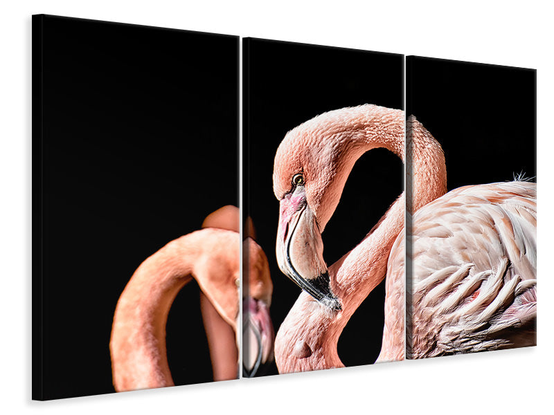 Leinwandbild 3-teilig Prächtige Flamingos