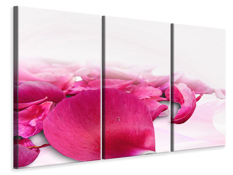 Leinwandbild 3-teilig Rosenblätter in pink