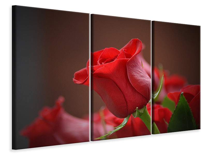 Leinwandbild 3-teilig Rote Rose in XL