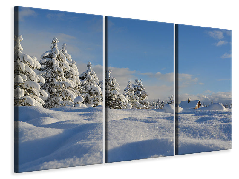 Leinwandbild 3-teilig Schöne Schnee Landschaft