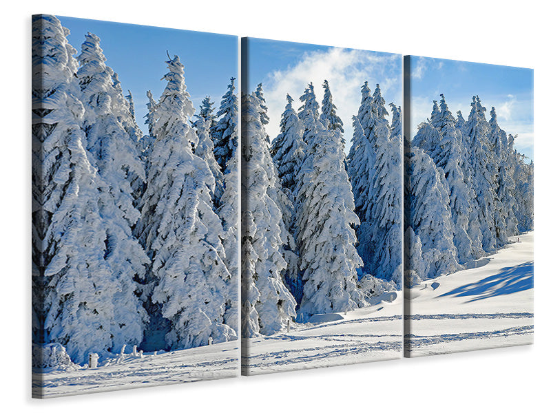 Leinwandbild 3-teilig Schöne Winterlandschaft