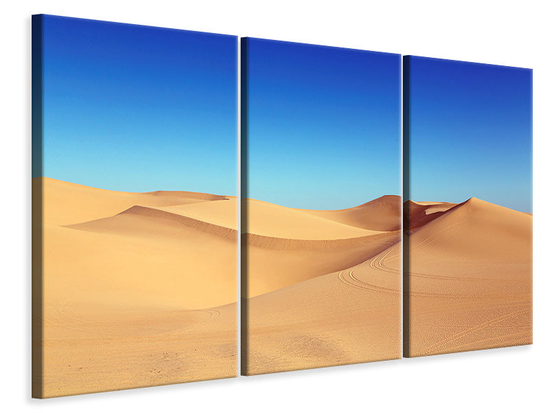 Leinwandbild 3-teilig Schönheit Wüste