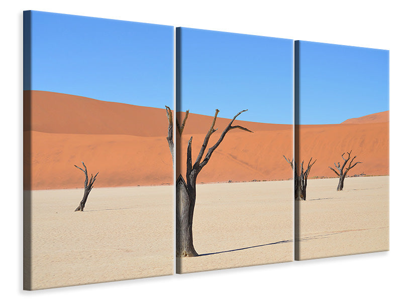 Leinwandbild 3-teilig Sossusvlei Namibia