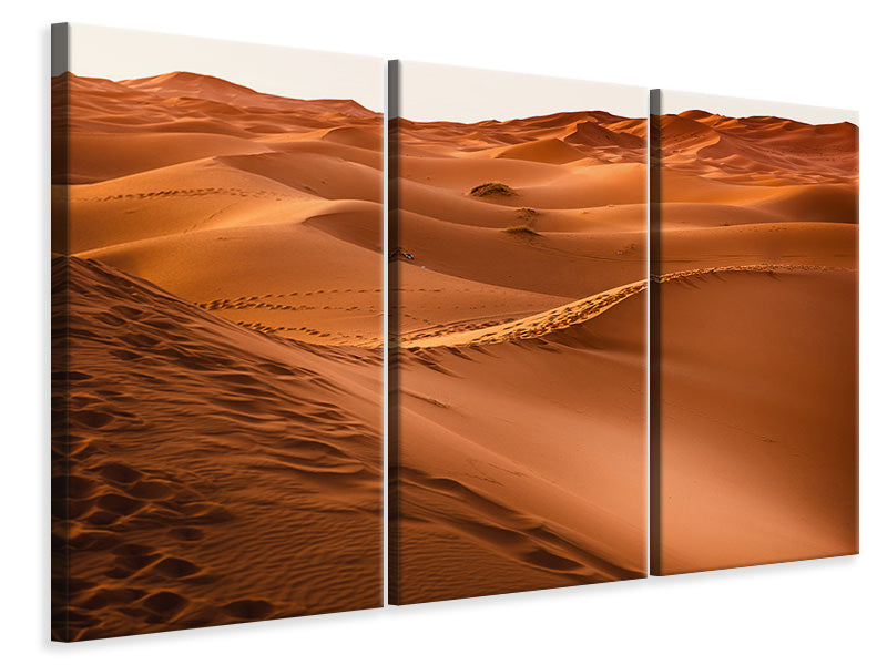 Leinwandbild 3-teilig Spuren in der Wüste