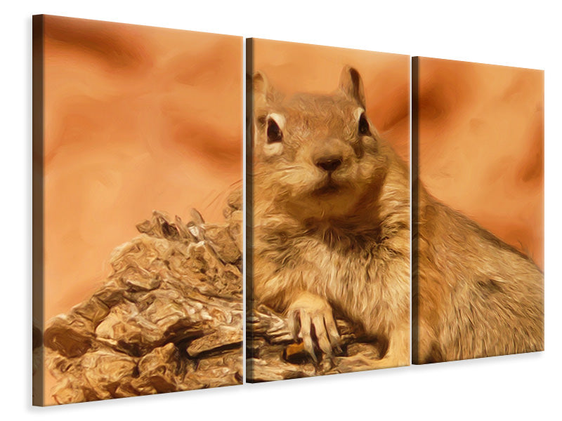 Leinwandbild 3-teilig Süsses Eichhörnchen
