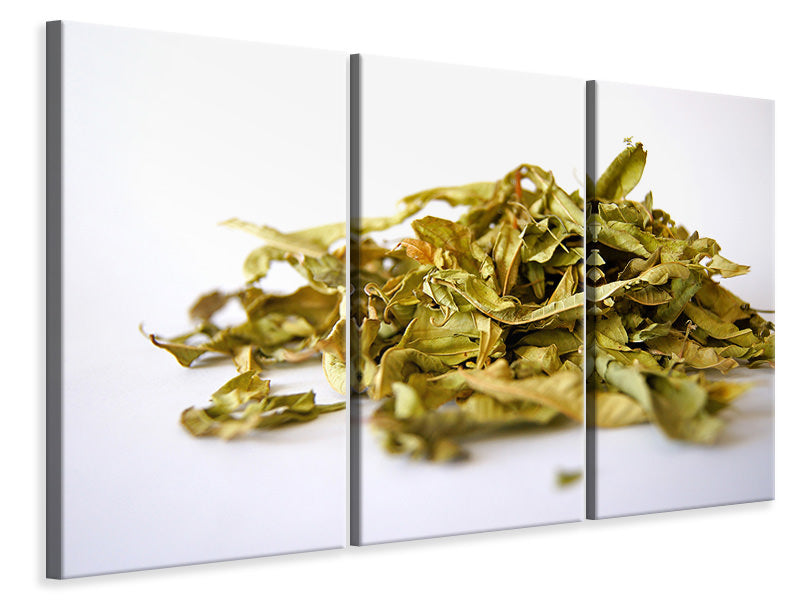 Leinwandbild 3-teilig Tee Blätter