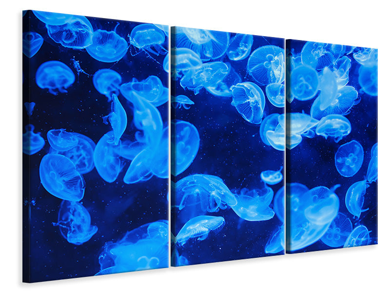 Leinwandbild 3-teilig Viele Quallen im blauen Wasser
