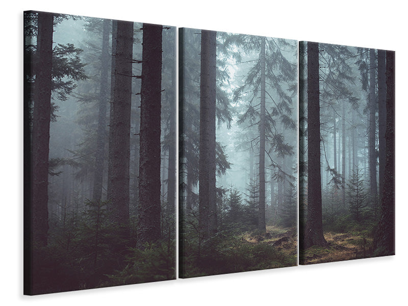 Leinwandbild 3-teilig Wald im Nebel