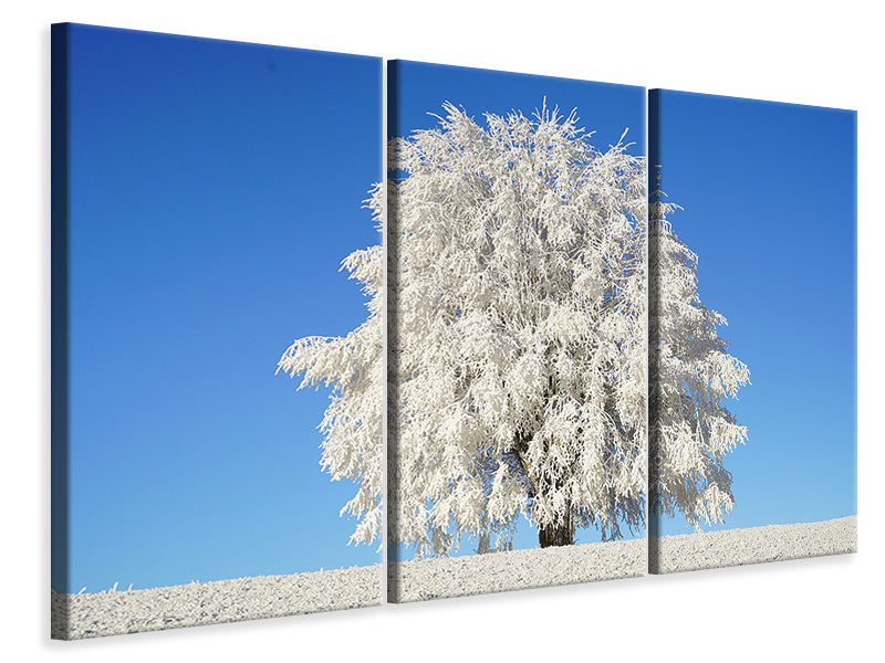 Leinwandbild 3-teilig Winter Baum