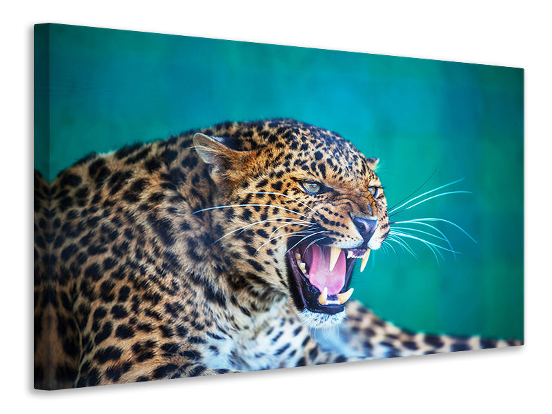 Leinwandbild Achtung Leopard