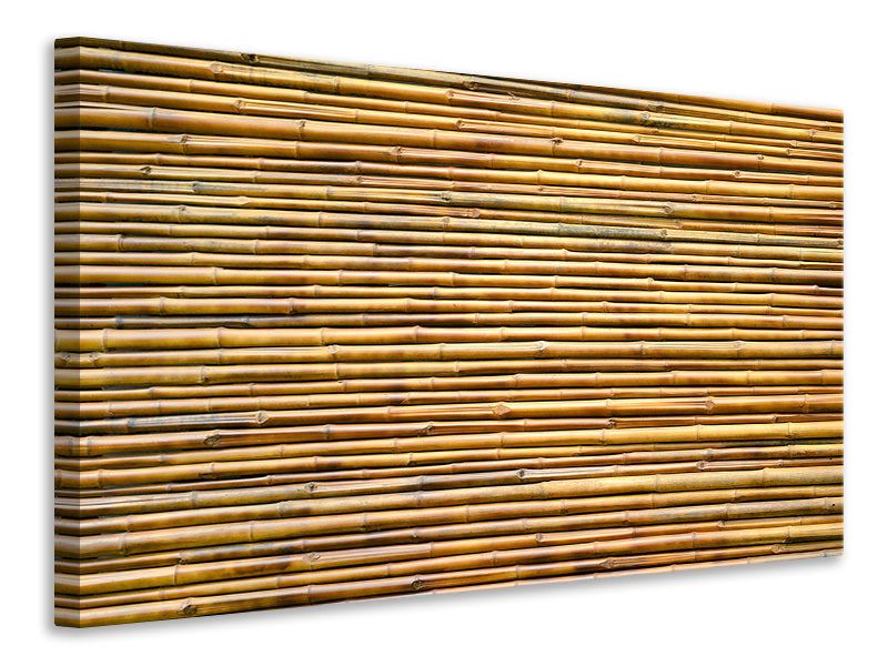 Leinwandbild Bambus