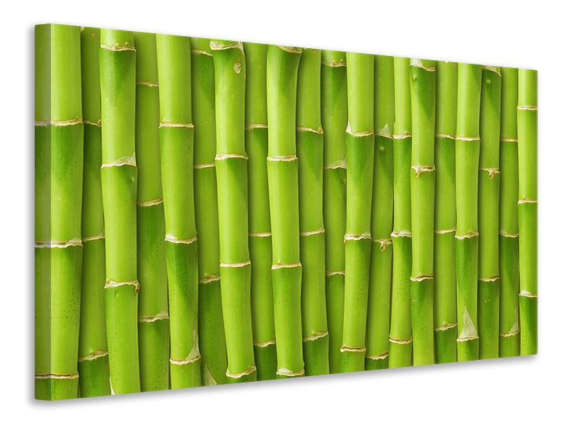 Leinwandbild Bambuswand