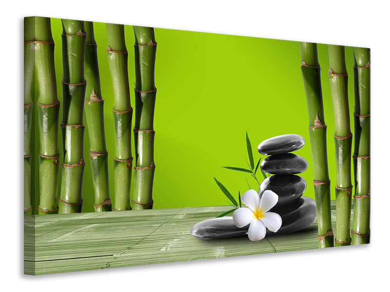 Leinwandbild Der Bambus