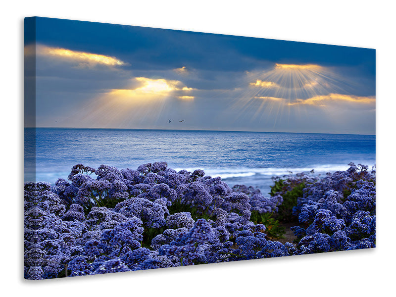 Leinwandbild Der Lavendel und das Meer