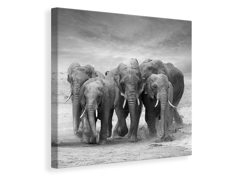 Leinwandbild Die Elefanten