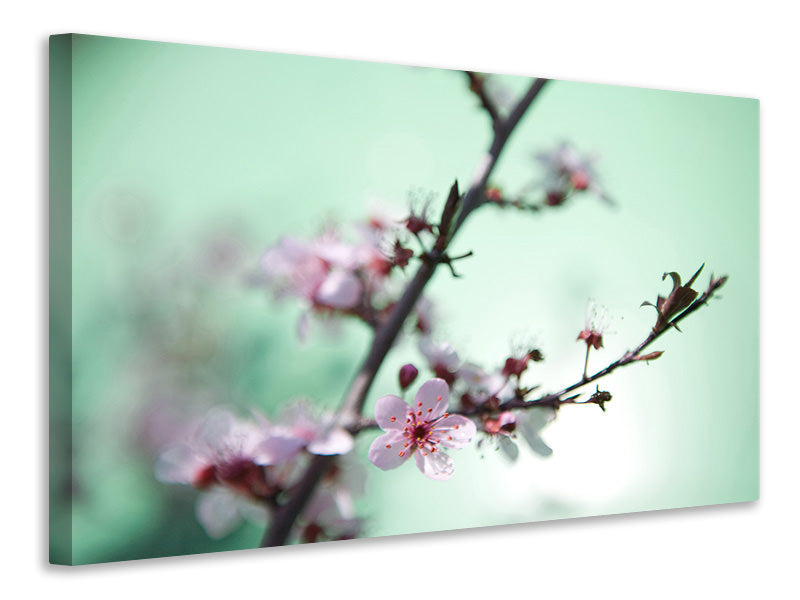 Leinwandbild Die japanische Kirschblüte