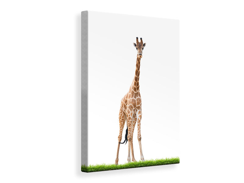 Leinwandbild Die lange Giraffe