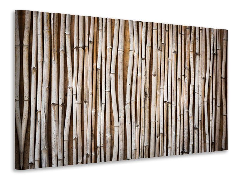 Leinwandbild Getrocknete Bambusrohre