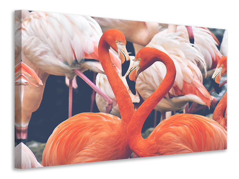 Leinwandbild Bunte Flamingos