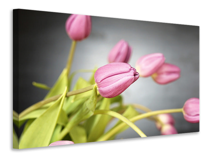 Leinwandbild Der Tulpenstrauss in rosa