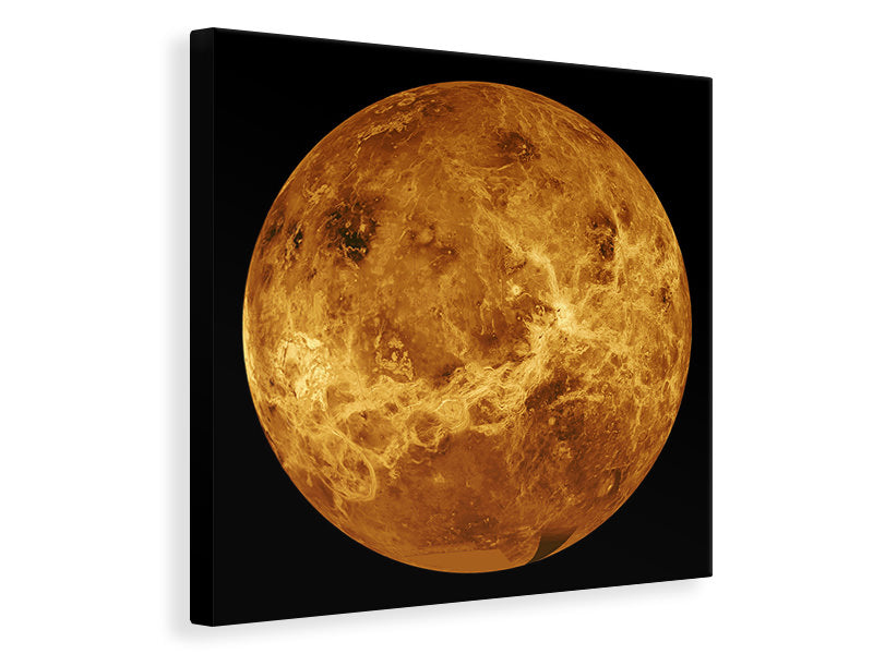 Leinwandbild Die Venus