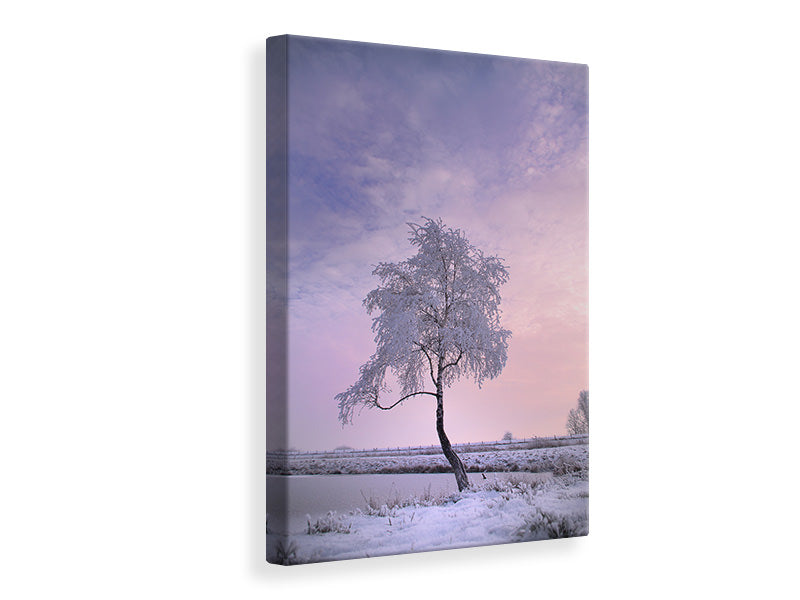 Leinwandbild Ein Winterbaum