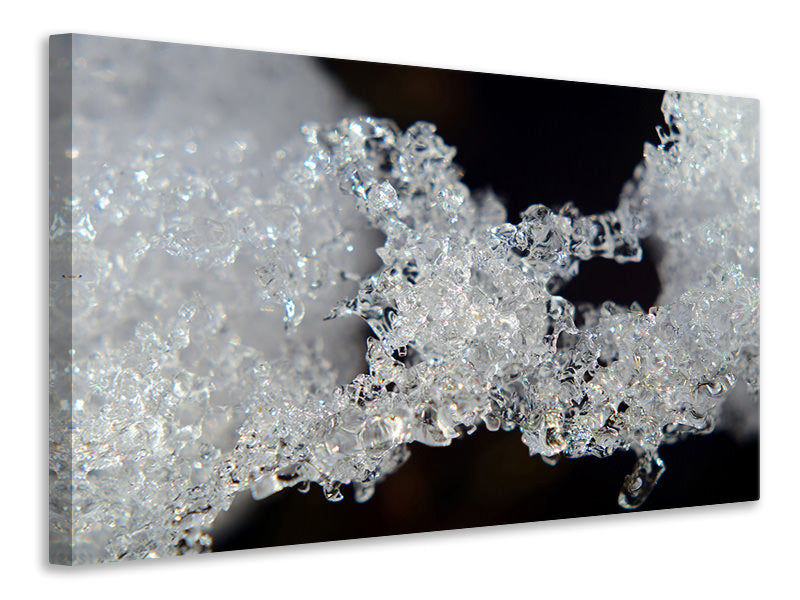 Leinwandbild Eiskristalle XL