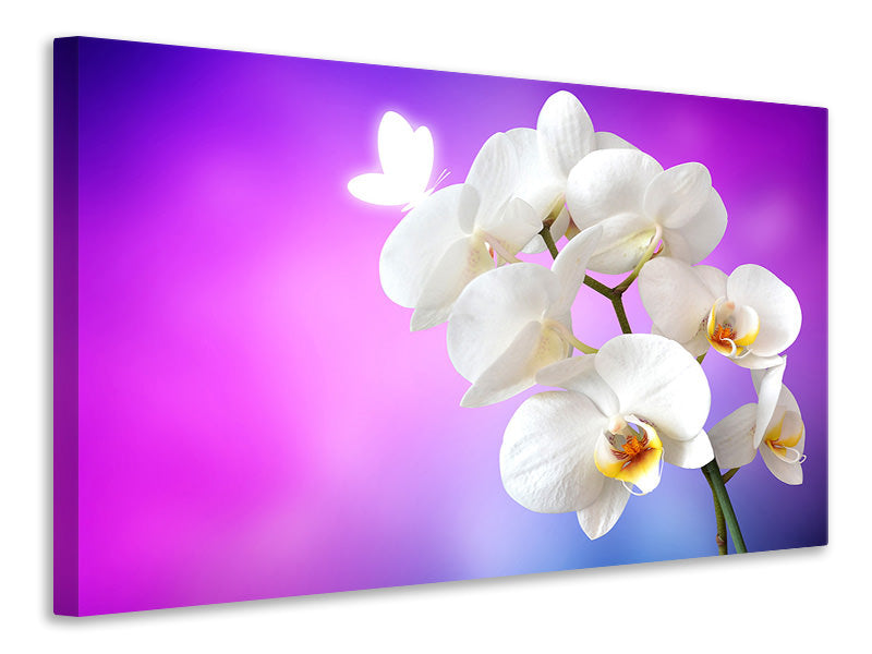 Leinwandbild Flower Power Orchidee