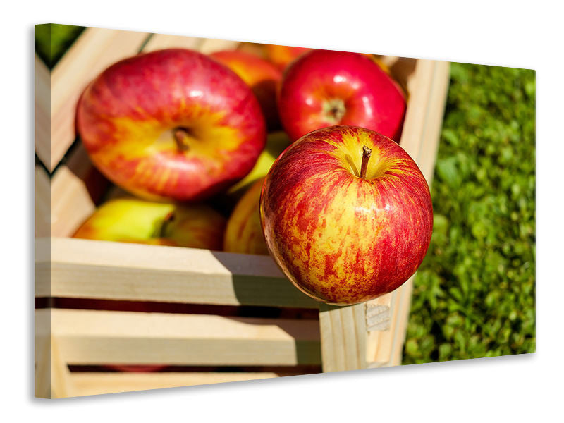 Leinwandbild Kiste mit Äpfeln