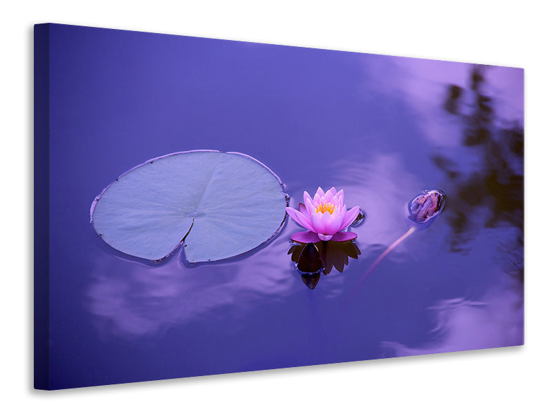 Leinwandbild Lotus Blüte