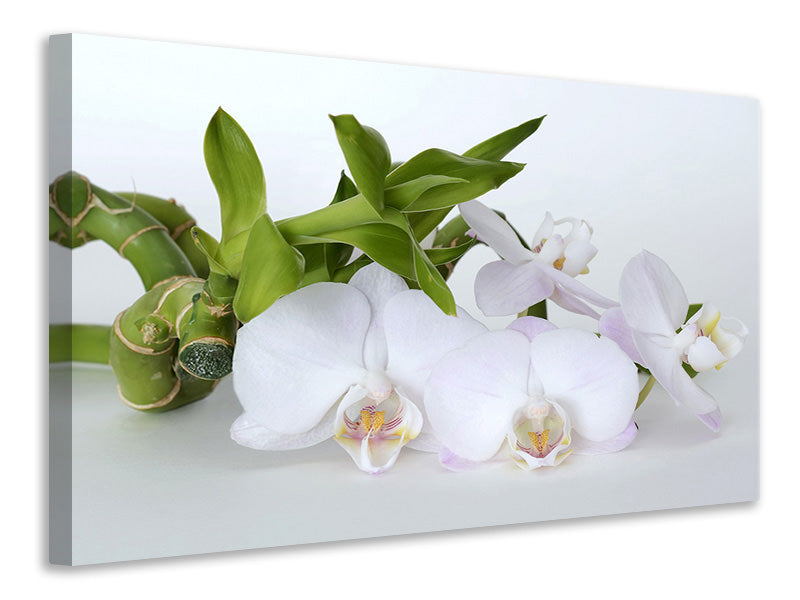 Leinwandbild Orchidee und Bambus