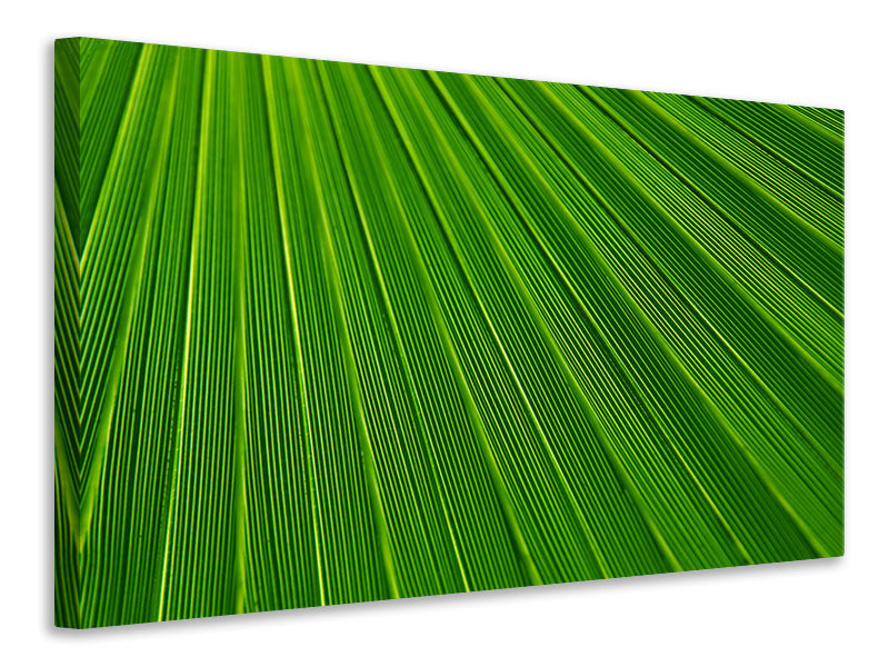 Leinwandbild Palm Streifen 1