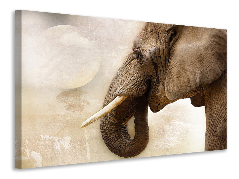 Leinwandbild Portrait eines Elefant