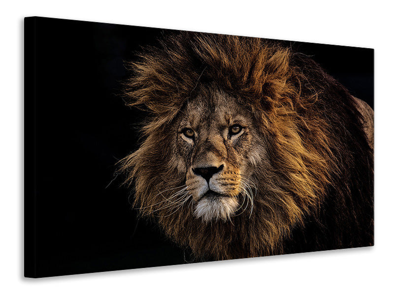 Leinwandbild Portrait eines Löwen 