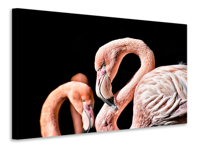 Leinwandbild Prächtige Flamingos
