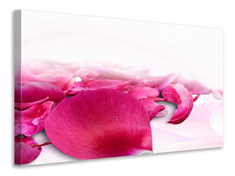 Leinwandbild Rosenblätter in pink