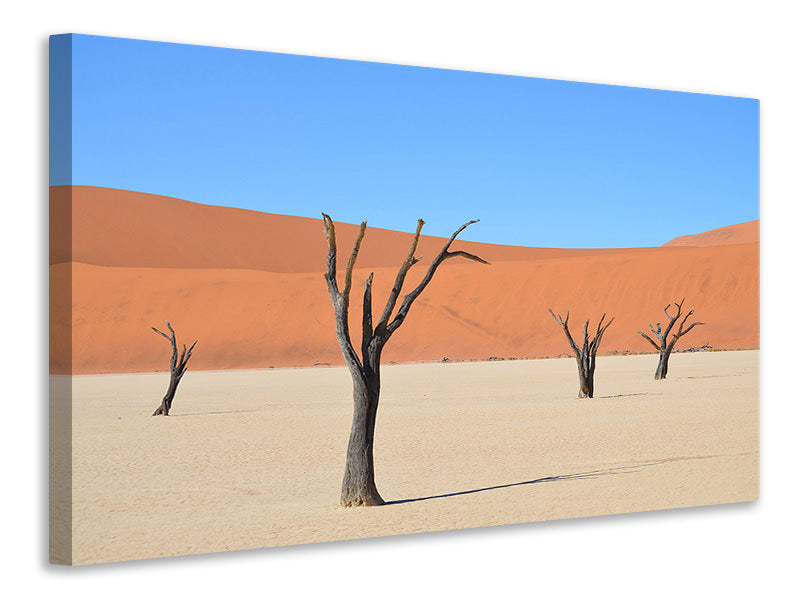Leinwandbild Sossusvlei Namibia