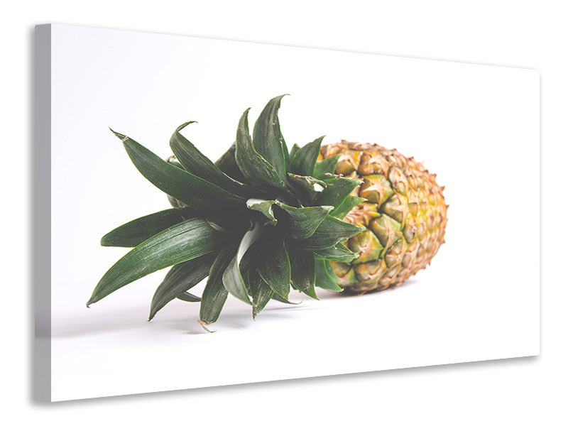 Leinwandbild XL Ananas