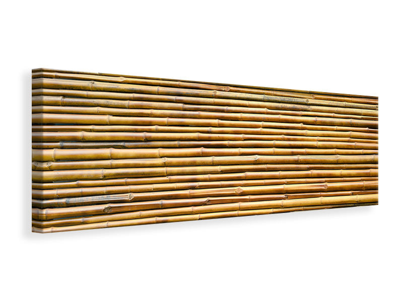 Leinwandbild Panorama Bambus