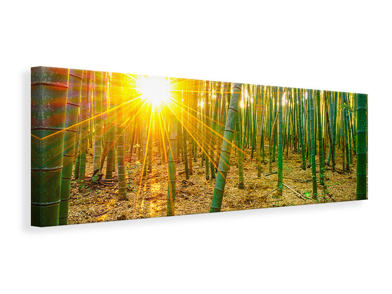 Leinwandbild Panorama Bambusse