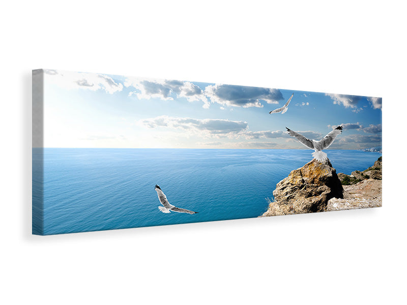 Leinwandbild Panorama Die Möwen und das Meer