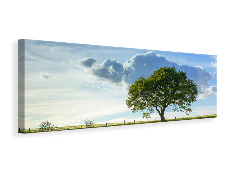 Leinwandbild Panorama Frühlingsbaum