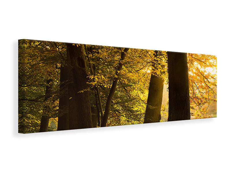 Leinwandbild Panorama Herbstlaub