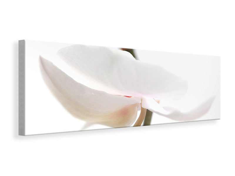 Leinwandbild Panorama XXL Orchideenblüte