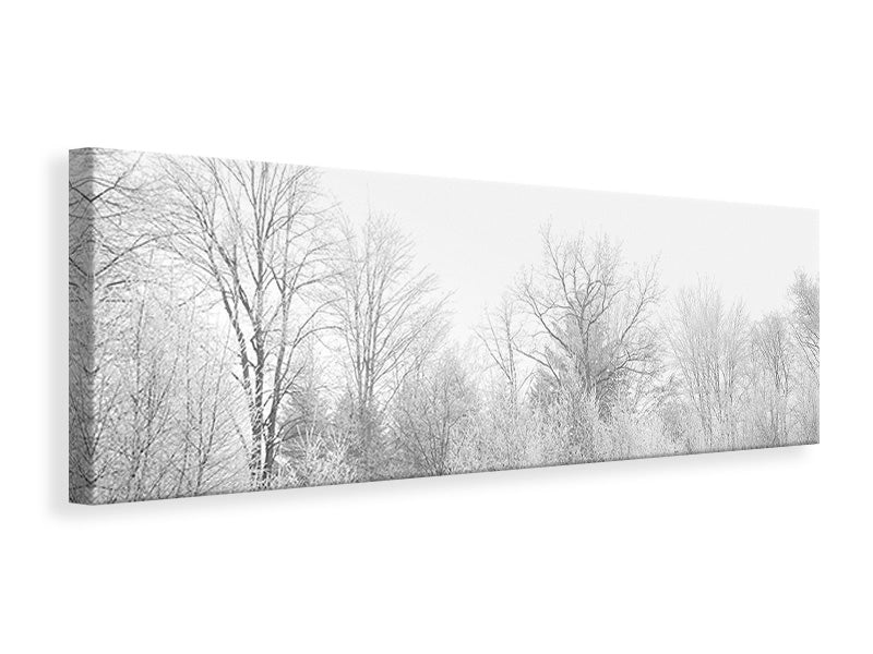 Leinwandbild Panorama Birken im Schnee